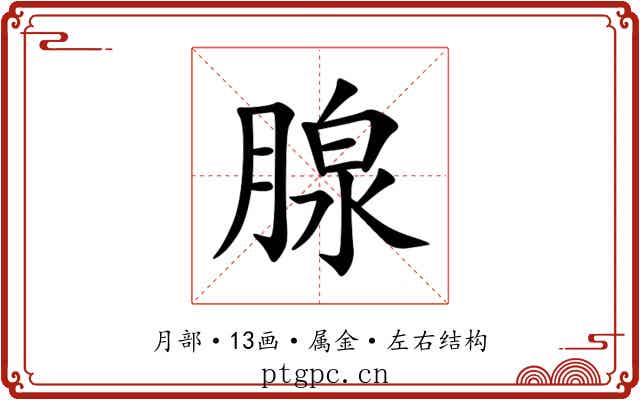 腺 腺