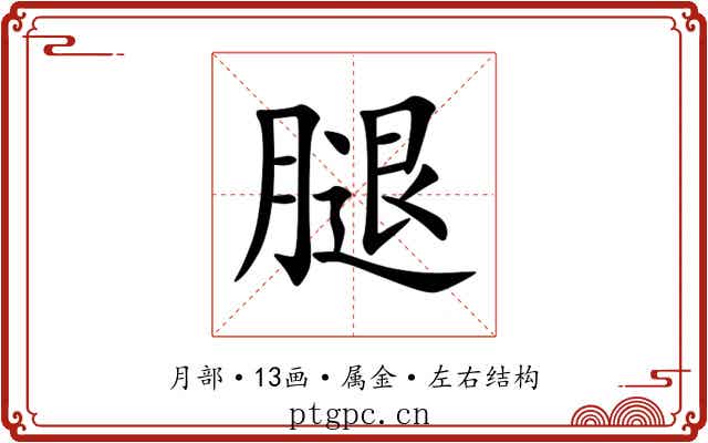 腿 腿