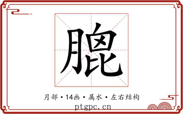 膍 膍