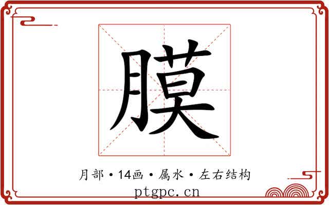 膜 膜