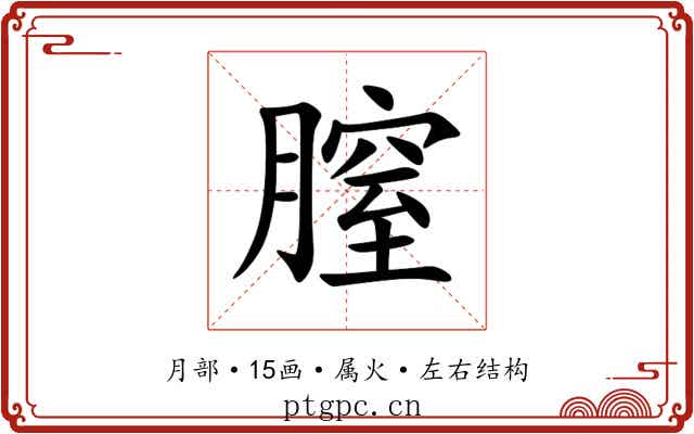 膣 膣