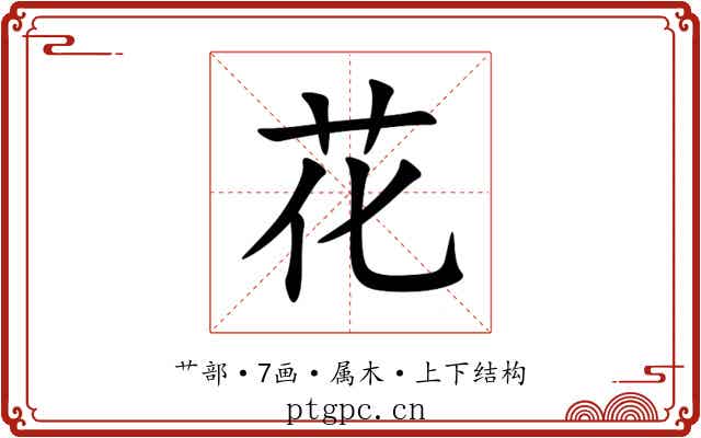 花 花