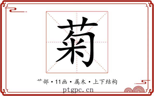 菊 菊