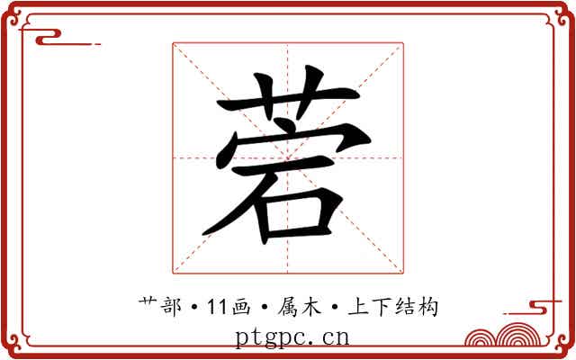菪 菪