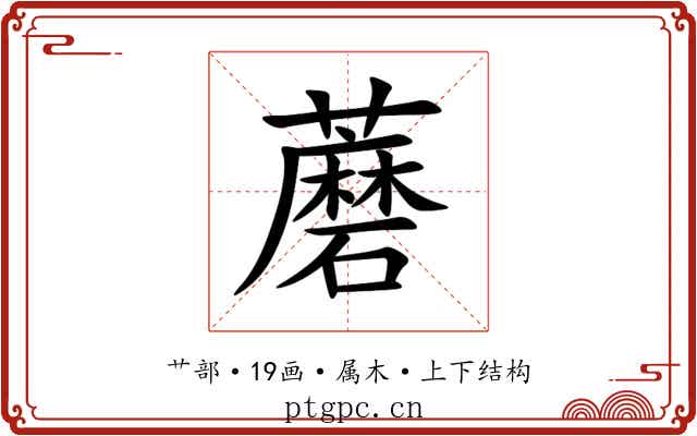 蘑 蘑
