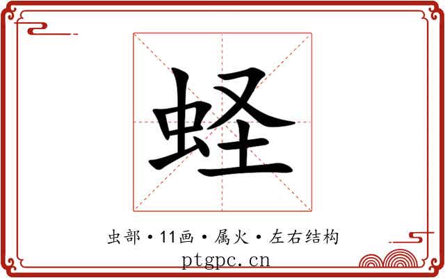 蛏 蛏