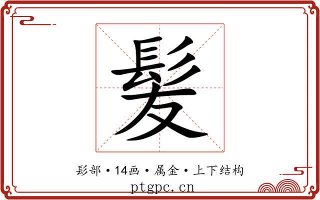 髪 髪