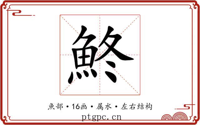 鮗 鮗