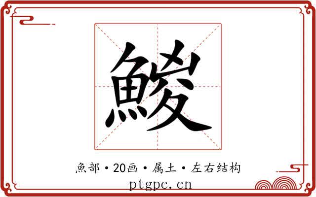 鯼 鯼