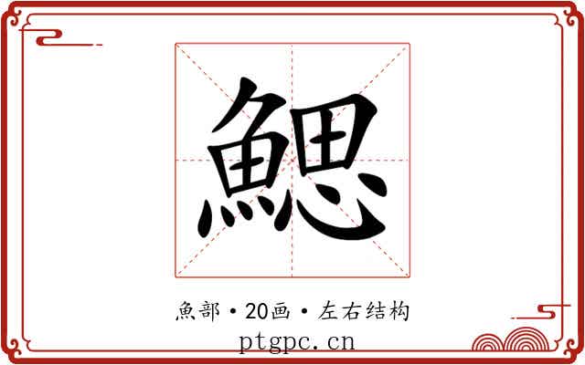 鰓 鰓