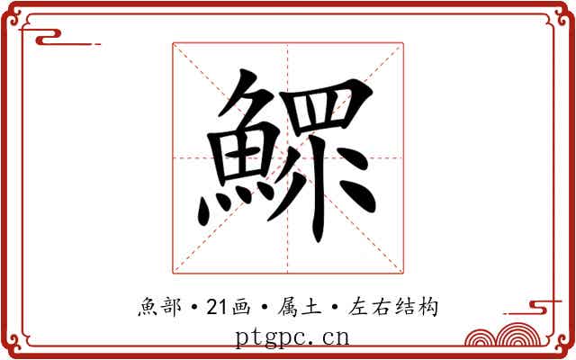 鰥 鰥