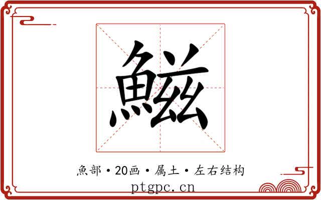 鰦 鰦