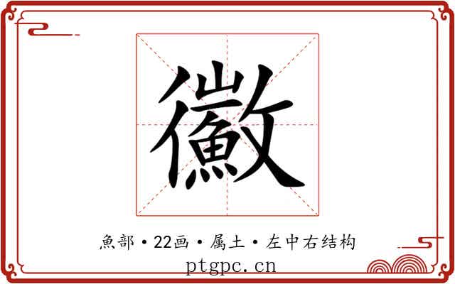 鰴 鰴