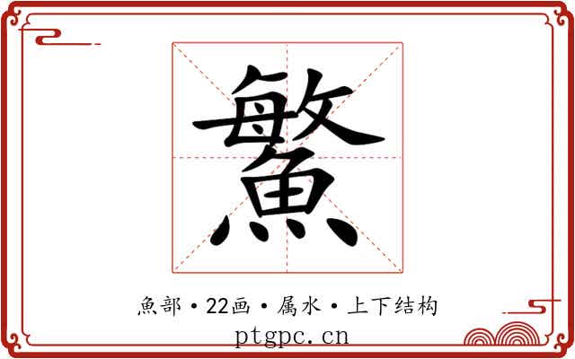 鰵 鰵