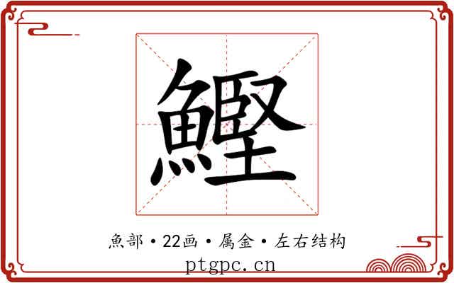 鰹 鰹