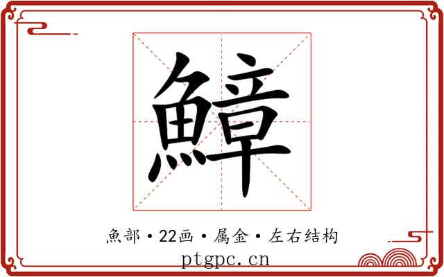 鱆