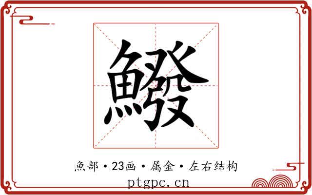 鱍 鱍