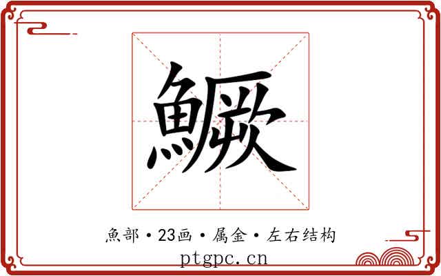 鱖 鱖
