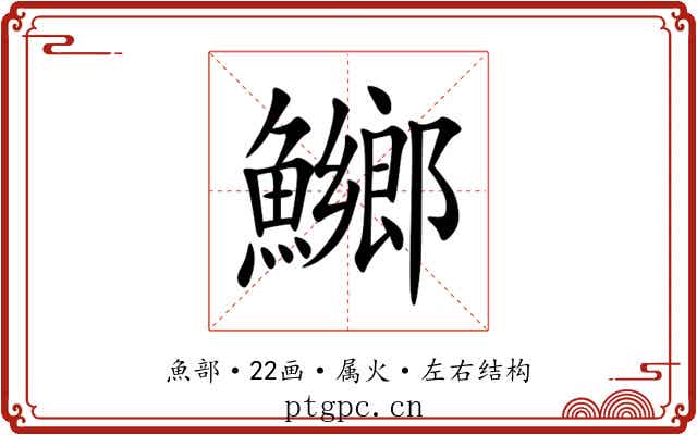 鱜 鱜