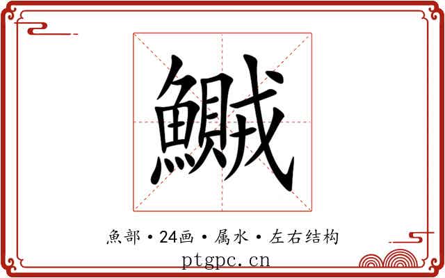 鱡 鱡