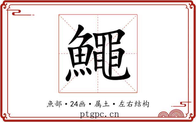 鱦 鱦