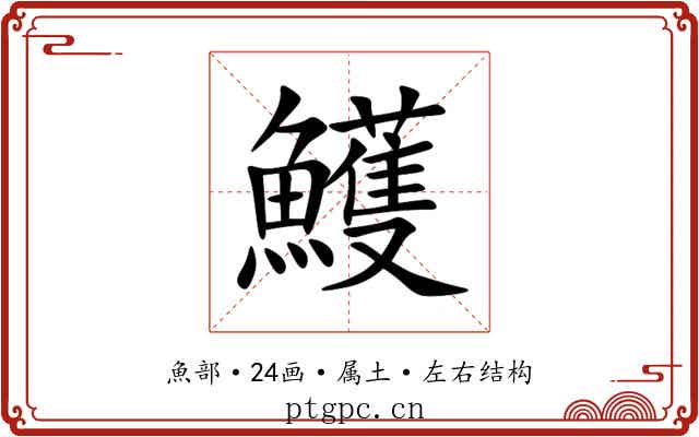鱯 鱯