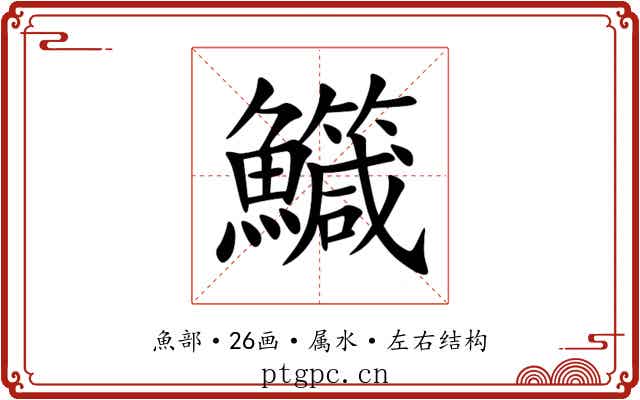 鱵 鱵