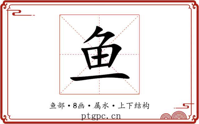 鱼 鱼