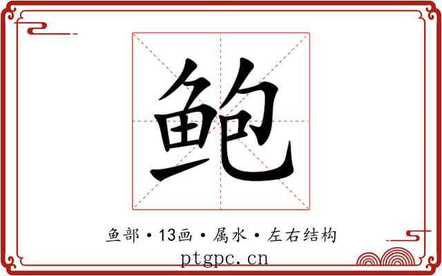 鲍