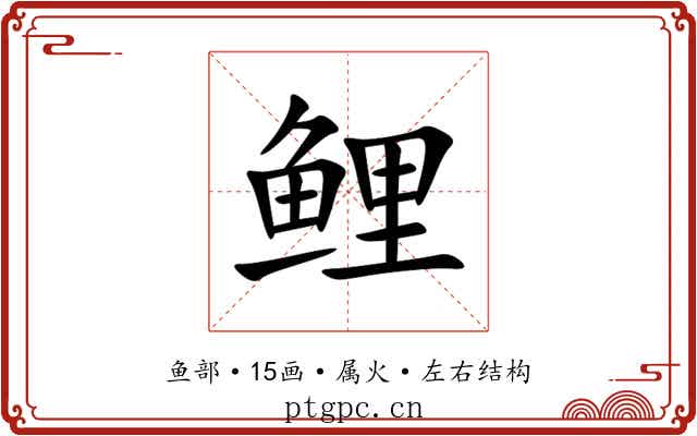 鲤 鲤