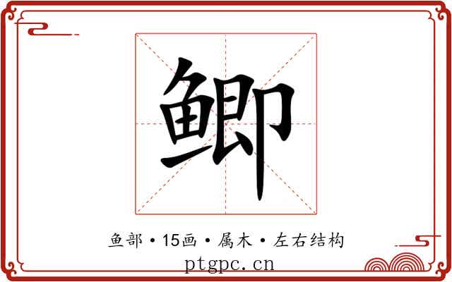 鲫 鲫