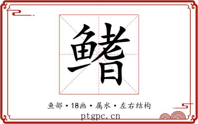 鳍 鳍