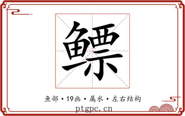 鳔 鳔