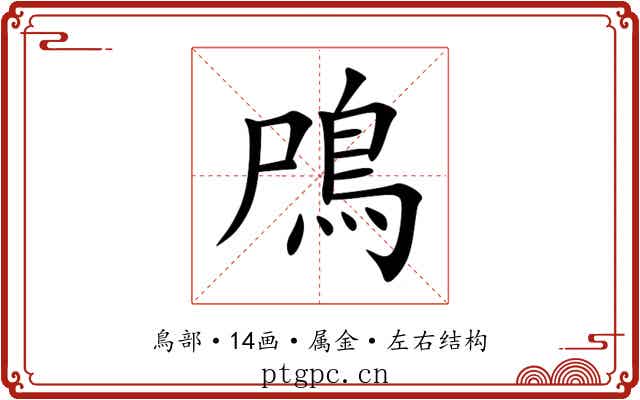 鳲