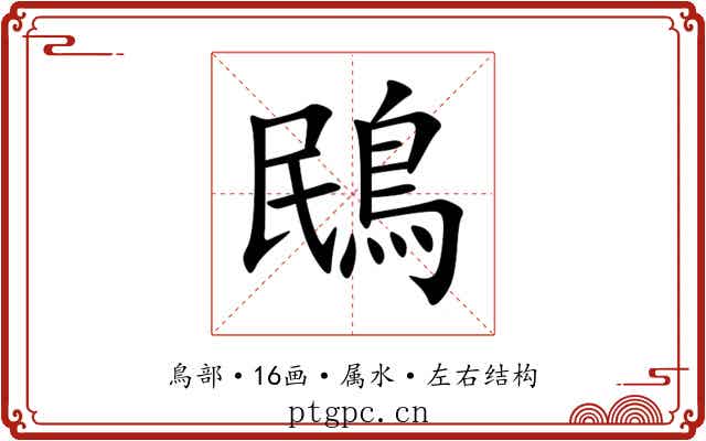 鴖