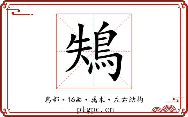 鴩 鴩