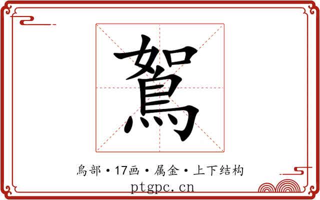 鴽 鴽