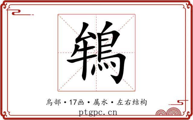 鴾 鴾