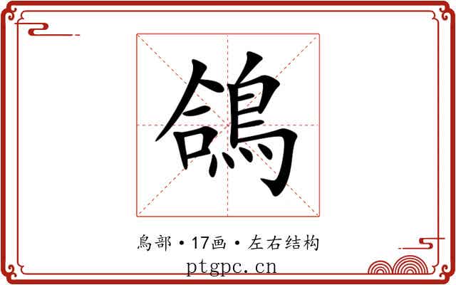 鴿 鴿