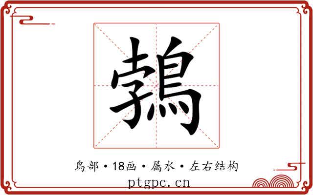 鵓 鵓