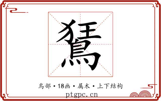 鵟 鵟