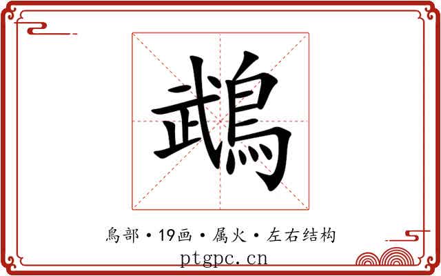 鵡 鵡