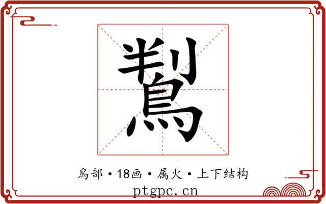 鵥