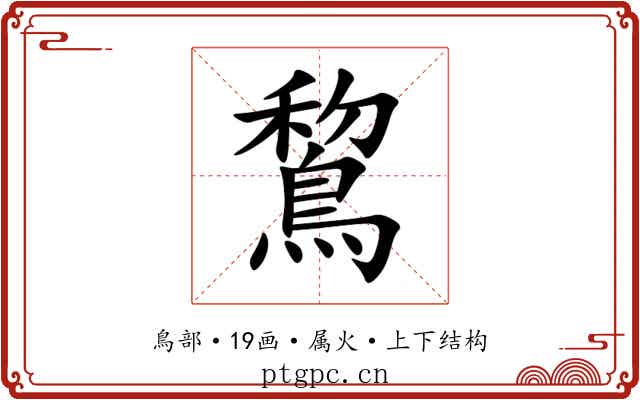 鵹
