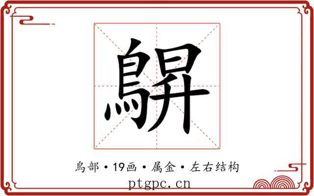 鵿 鵿