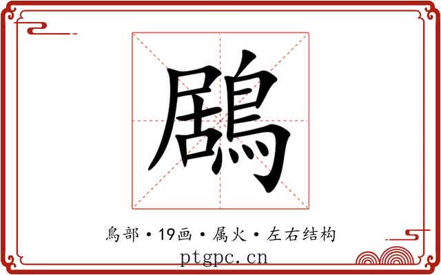 鶋 鶋