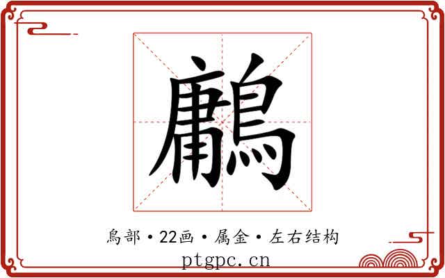 鷛