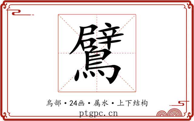 鷿 鷿