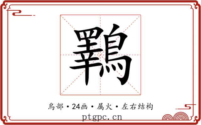 鸅 鸅