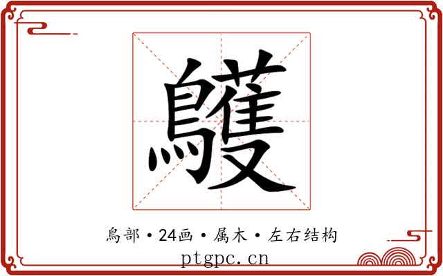 鸌 鸌